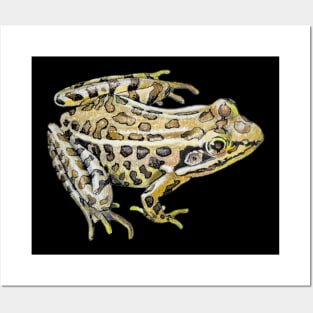 Leopard Frog Drawing (no background) Posters and Art